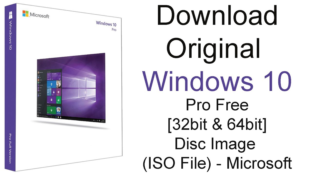scandall pro windows 10 download
